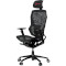 Кресло геймерское LORGAR Grace 855 Black (LRG-CHR855B)