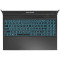 Ноутбук DREAM MACHINES RG3060-15 Black (RG3060-15UA33)