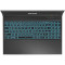 Ноутбук DREAM MACHINES RG3060-15 Black (RG3060-15UA52)