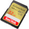 Карта пам'яті SANDISK SDHC Extreme Plus 32GB UHS-I U3 V30 Class 10 (SDSDXWT-032G-GNCIN)