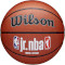 М'яч баскетбольний WILSON Jr. NBA Family Indoor/Outdoor Size 7 (WZ2009801XB7)