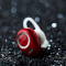 Bluetooth гарнитура REMAX RB-T22 Red