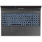 Ноутбук DREAM MACHINES RG3050-15 Black (RG3050-15UA54)