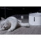 Поилка для собак и кошек XIAOMI Smart Pet Fountain (BHR6161EU)