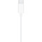 Наушники APPLE EarPods with USB-C Connector White (MTJY3ZM/A)