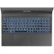Ноутбук DREAM MACHINES RG4060-15 Black (RG4060-15UA23)