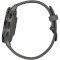 Смарт-часы GARMIN Venu 3S 41mm Slate Stainless Steel Bezel with Pebble Gray Case and Silicone Band (010-02785-00/50)