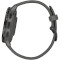 Смарт-годинник GARMIN Venu 3S 41mm Slate Stainless Steel Bezel with Pebble Gray Case and Silicone Band (010-02785-00/50)