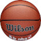 М'яч баскетбольний WILSON Jr. NBA Family Indoor/Outdoor Size 5 (WZ2009801XB5)
