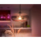 Умная лампа PHILIPS HUE White and Color Ambiance w/Dimmer E27 15W 2000-6500K (929002471601)