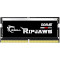 Модуль пам'яті G.SKILL Ripjaws SO-DIMM DDR5 4800MHz 32GB Kit 2x16GB (F5-4800S3434A16GX2-RS)