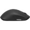 Мышь LENOVO 600 Wireless Media Mouse (GY50U89282)