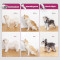 Набор для ухода за животными PETKIT AirClipper 5-in-1 Pet Grooming Kit (LM4)