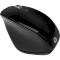 Мышь HP X4500 Sparkling Black (H2W26AA/H2W16AA)