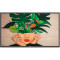 Монитор 32" PHILIPS 32BDL4511D/00