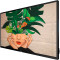 Монитор 32" PHILIPS 32BDL4511D/00