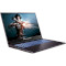 Ноутбук DREAM MACHINES RG2050-17 Black (RG2050-17UA25)