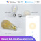 Розумна лампа SONOFF Smart Wi-Fi LED Filament Bulb Amber E27 7W 1800-5000K (B02-F-ST64)