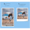 Фотобумага самоклеющаяся XIAOMI Instant Photo Paper 6" 10x15см 40л (BHR6757GL)