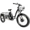 Електровелосипед CEMOTO CEM-ET06 24"/20" (500W)