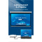 Кабель VENTION DVI - VGA 1.5м Black (EABBG)