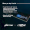 Модуль памяти CRUCIAL DDR5 5200MHz 8GB (CT8G52C42U5)