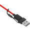 Гарнітура POLY Blackwire 3310 Microsoft USB-C + USB-C/A (8X216AA)