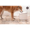 Поилка для собак и кошек PAWBBY Pet Water Dispenser (MG-WF001EU)