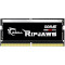 Модуль памяти G.SKILL Ripjaws SO-DIMM DDR5 5600MHz 48GB Kit 2x24GB (F5-5600S4645A48GX1-RS)