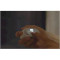 Машинка для стрижки ногтей Xiaomi SEEMAGIC Electric Polishing Nail Clipper Mini