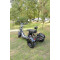 Электроскутер MAXXTER Trike 2.0 Black