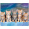 Килимок для миші VOLTRONIC Five Cats 300x250 (YT-CAT30)