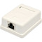 Розетка накладна EPNEW RJ-45 Cat.6 STP White (6BX-S1WHA6)