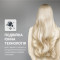 Фен ROWENTA Pro Expert Tresor Collection CV8861F0