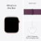 Смарт-годинник APPLE Watch Series 10 GPS 42mm Rose Gold Aluminum Case with Plum Sport Loop (MWWK3QH/A)