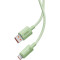 Кабель BASEUS Habitat Series Fast Charging Cable USB to Type-C 100W 2м Natural Green (P10360203631-01)