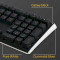 Клавіатура DUCKY One 3 Cherry MX Blue RGB UA Black (DKON2108ST-CUAPXCLAWSC1)