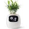 Розумний горщик для рослин IVY Smart Planter Tuya AI White