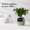 Розумний горщик для рослин IVY Smart Planter Tuya AI White