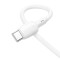 Кабель BOROFONE BX93 Super Power USB-A to USB-C 27W 0.025м White