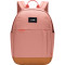 Рюкзак PACSAFE GO 15L Anti-Theft Backpack Rose