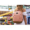 Рюкзак PACSAFE GO 15L Anti-Theft Backpack Rose