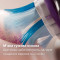 Насадка для зубной щётки PHILIPS Sonicare G3 Premium Gum Care 4шт (HX9054/88)