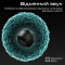 Наушники HIFUTURE OlymBuds3 Shadow Black