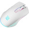 Миша ігрова DEFENDER Pandora GM-502 White (52502)