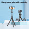 Монопод-трипод RTAKO C03 Octopus Extendable Tripod Selfie Stick with Detachable Phone Holder