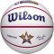 М'яч баскетбольний для автографів WILSON NBA All-Star 2025 Size 7 (WZ4034101XB7)
