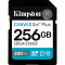 Карта пам'яті KINGSTON SDXC Canvas Go! Plus 256GB UHS-I U3 V30 Class 10 (SDG4/256GB)