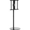 Презентационная стойка с креплением под ТВ GEMBIRD TVS-65S-02 32"-65" Black