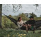 Гамак підвісний EASY CAMP Pine Hammock 270x140см Olivine (931585)